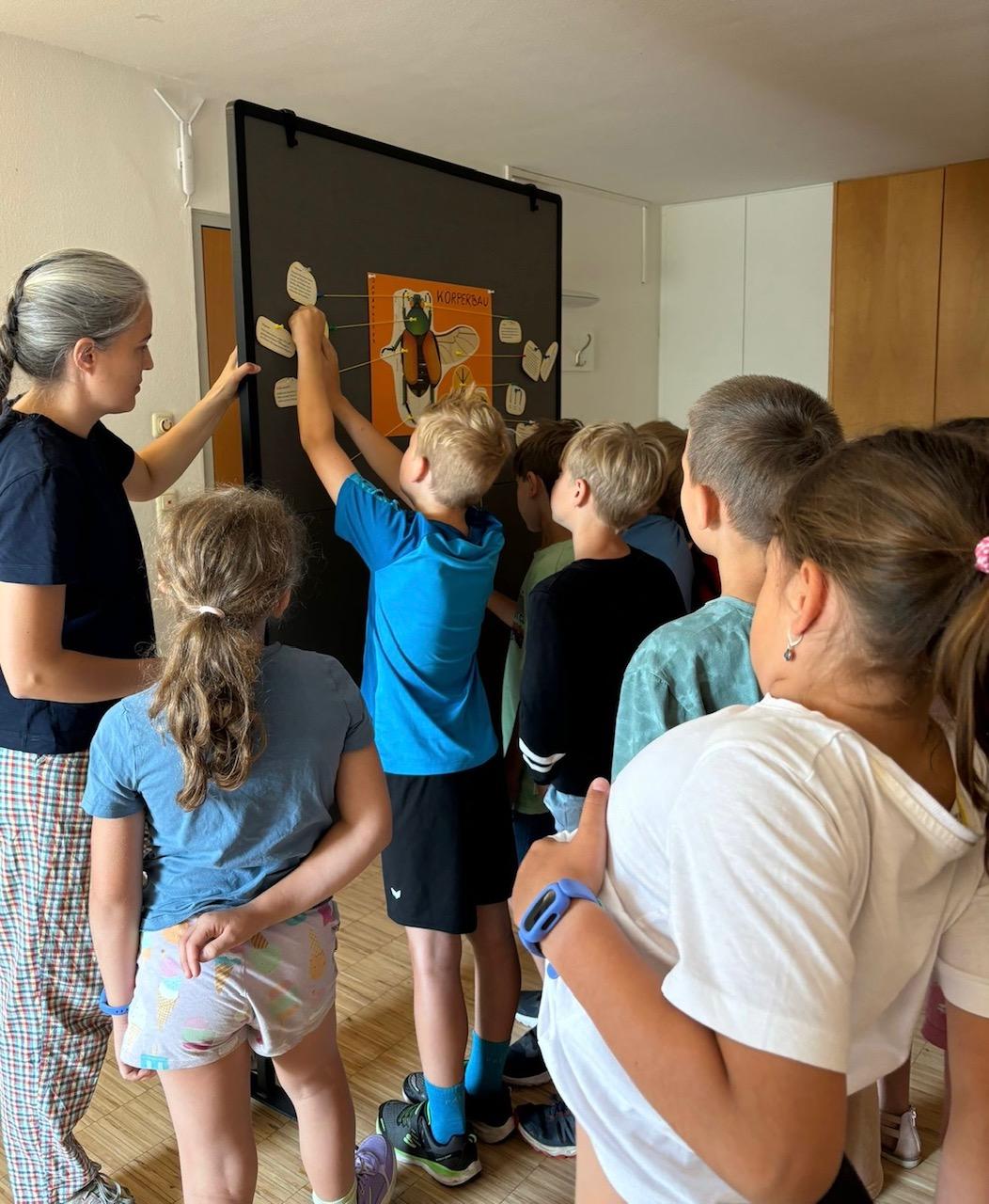 Kinder vor Pinwand